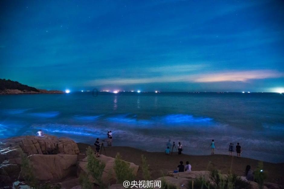 巫师2：刺客之王