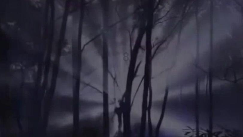 大神：绝景版