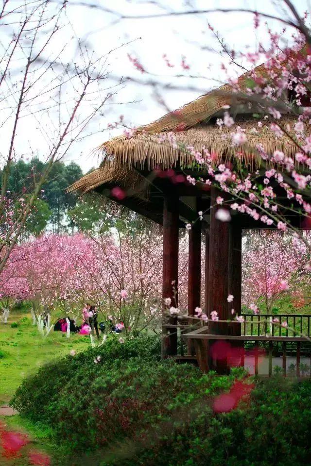 城市深井病