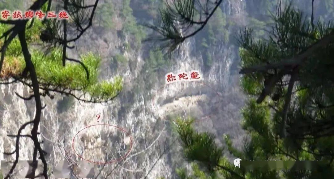 破解海运运力瓶颈 国内车企步入“自主船运”新阶段