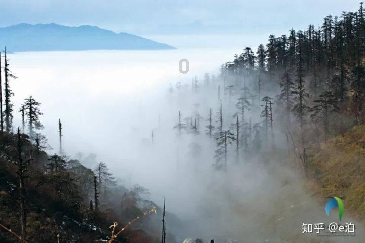 乱斗西游2