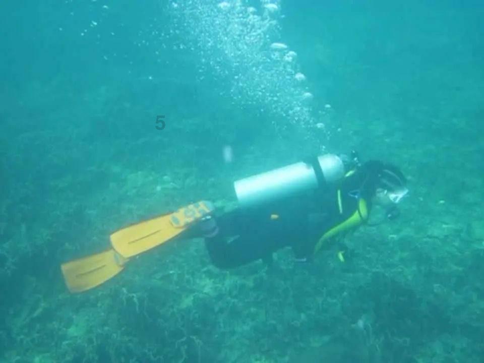 高考失利该不该选择复读呢游戏画面