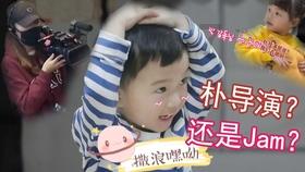 救援受困的小野猫