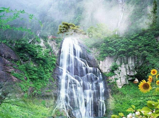 鸢尾花是什么花？游戏画面