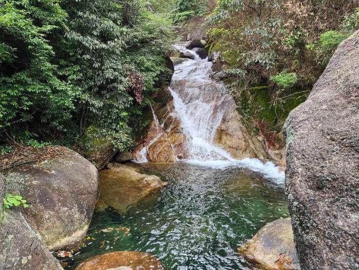 问止小课堂：失眠，还有这4个表现，90%你需要补血了