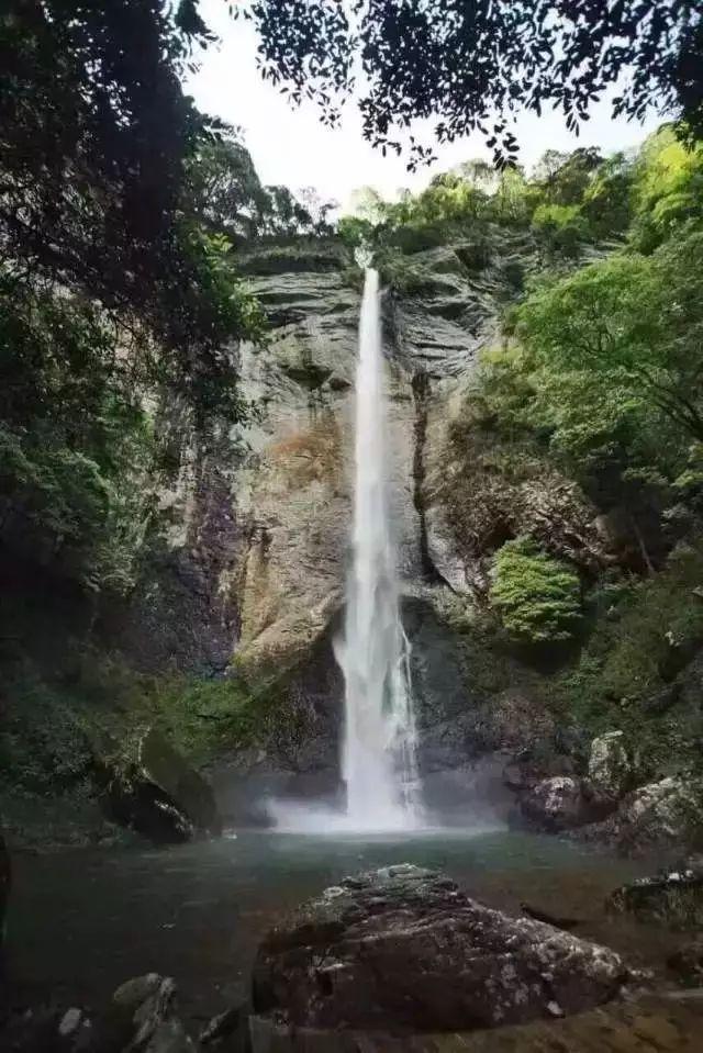 化学雕龙