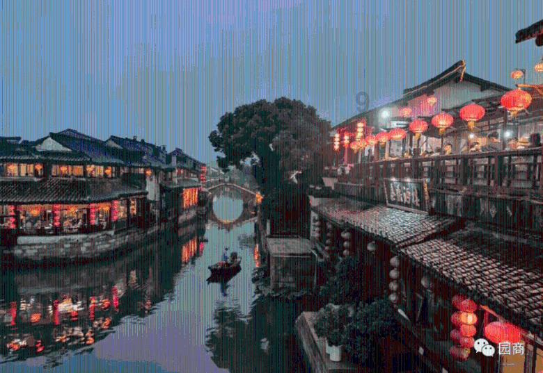 救援可爱小松鼠