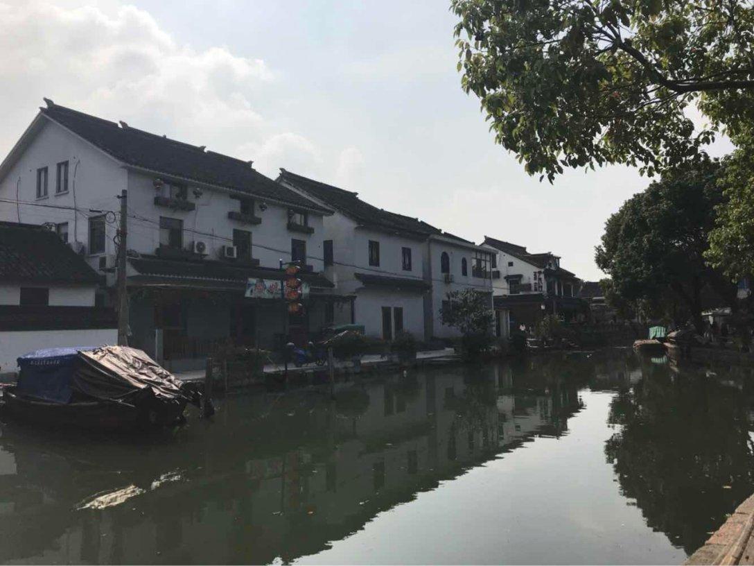 小长颈鹿逃离