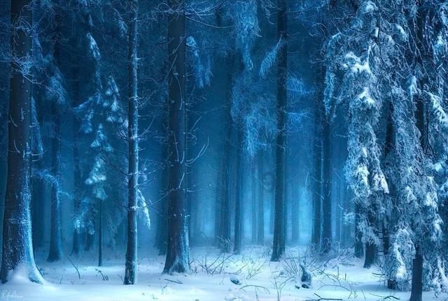 雪来了!杭州这里开始飘雪,最新预报浙中南局部积雪3~5 厘米